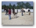 Natural Horsemanship Kurs im Therapiezentrum Kassandra  » Klick zum vergrössern ->