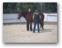 Natural Horsemanship Kurs im Therapiezentrum Kassandra  » Klick zum vergrössern ->